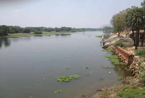 Srivaikundam Dam Water (3)